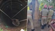 Video: Man Rescued From Well After One And A Half Days in Kerala’s Sreenivasapuram
