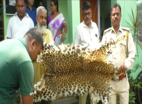India News | Forest Officials Recover Body Parts of Leopards, Other Animals in Assam's Nagaon
