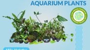 Business News | Kerala Based Aquarium Plant Farm Introduces Range of New Aquarium Plants