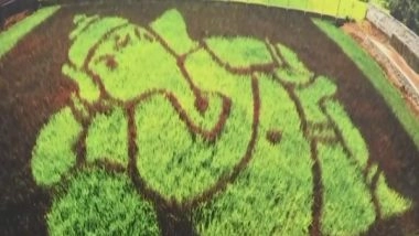 India News | Agriculturist Creates Black Eagle, Ganesha in Paddy Fields Through Japanese Tambo Ato