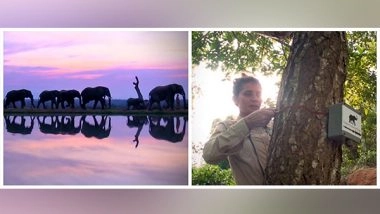 Science News | This Computer Engineer-turned-conservation Scientist is Using Sound to Mitigate Human-elephant Conflict in India