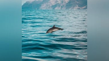 Lifestyle News | Climate Change to Affect Marine Life More Than We Can Imagine