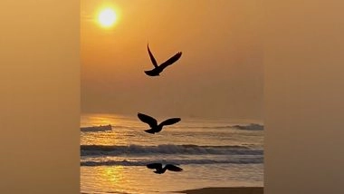 India News | Odisha Hamlet Declares Itself 'Birds Village' to Protect Migratory Birds