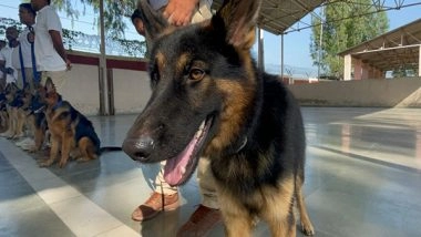 India News | Cats & Dogs: 'Super Sniffer' Dog Squad to Protect Namibian Cheetahs from Poachers at Kuno