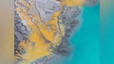 Science News | Study Probes Turtles' Survival Years After Oil Spill