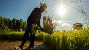 Business News | ADB Pledges USD 14 Billion for Food Security in Asia and Pacific by 2025