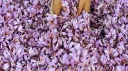 India News | After Success of Trials with J-K's Help, Sikkim All Set to Launch Saffron Cultivation
