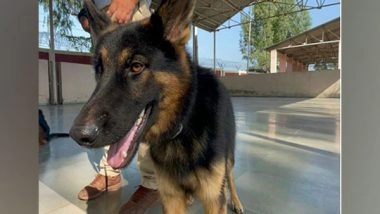 India News | UP: NCPCR Seeks Response of Administration over Dog Bites to Children in Ghaziabad