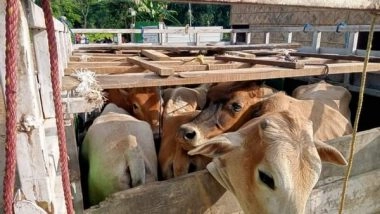 India News | Four Held for Cattle Smuggling in  Assam