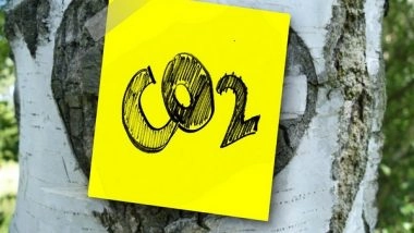 Science News | Targeted Reimbursement: A Fair Price for CO2
