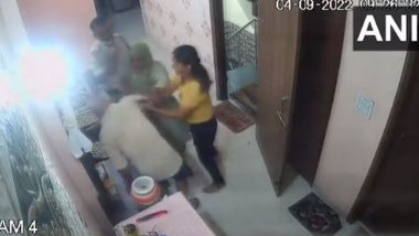 CCTV Video: Woman Sub-Inspector Thrashes In-laws in Delhi's Laxmi Nagar, Case Registered