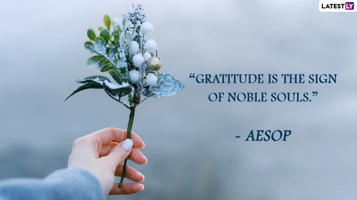 Happy World Gratitude Day Images & HD Wallpapers for Free Download Online:  Share Greetings and Messages To Thank and Be Grateful to Everyone | 🙏🏻  LatestLY