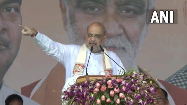 Nitish Kumar Backstabbed Anti-Congress Politics to Become Prime Minister, Says Amit Shah in Bihar