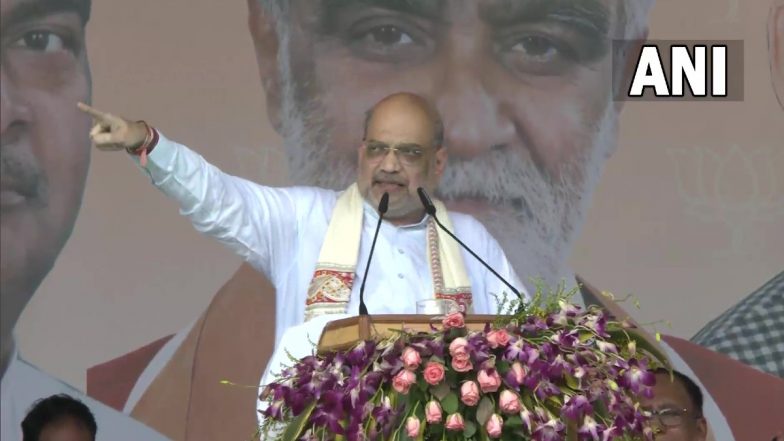 Amit Shah Says 'Nitish Kumar Backstabbed Anti-Congress Politics to Become Prime Minister'