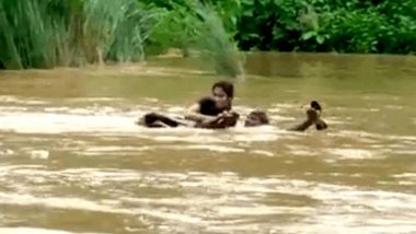 Andhra Pradesh: 21-Year-Old Student in Vizianagaram Crosses River Without Any Conveyance to Appear in Exam; Watch Viral Video