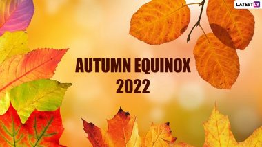 Autumnal Equinox 2022 Start Date: When Is the First Day of Fall? From Meaning to Significance, Everything To Know About September Equinox