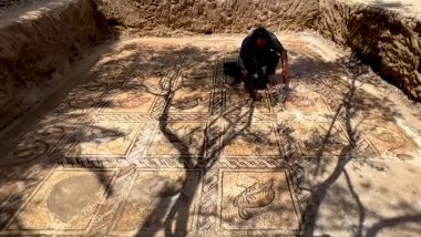 Video: Palestinian Farmer Digs Field To Find Byzantine-Era Mosaic, Believed To Be 1300 to 1500 Years Old