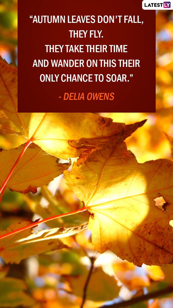 Autumnal Equinox 2022 Messages