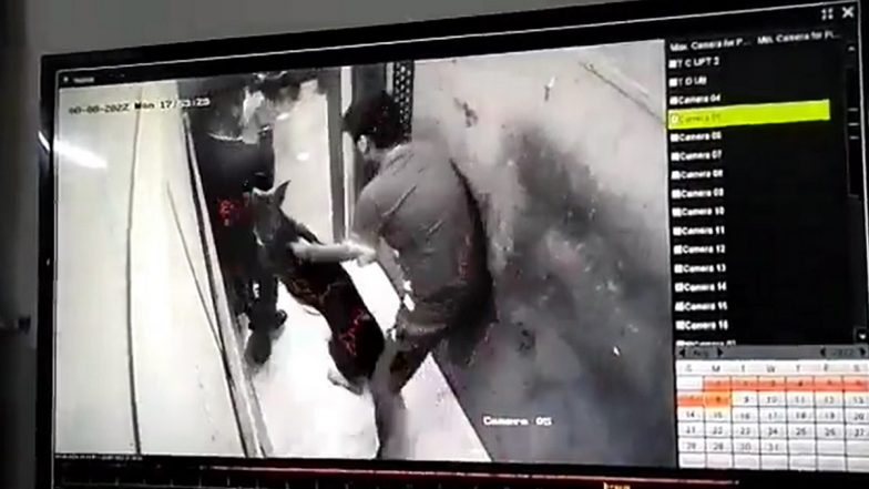 Dog Attacks Youth, Bites Him in Lift of Apex Society in Noida, Watch Viral Video