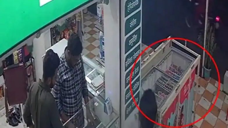 Nashik Shocker: 4-Year-Old Girl, Out to Buy Ice Cream, Touches Fridge, Dies of Electric Shock (Watch Video)