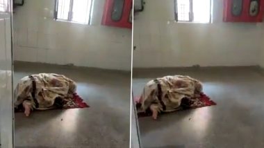 Video of Woman Performing Namaz Inside Prayagraj Hospital Goes Viral; Police Say ‘No Offence Committed’ After Reports of FIR