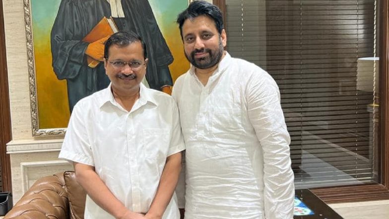 Corruption Case: Delhi AAP MLA Amanatullah Khan Sent to 4-Day ACB Custody