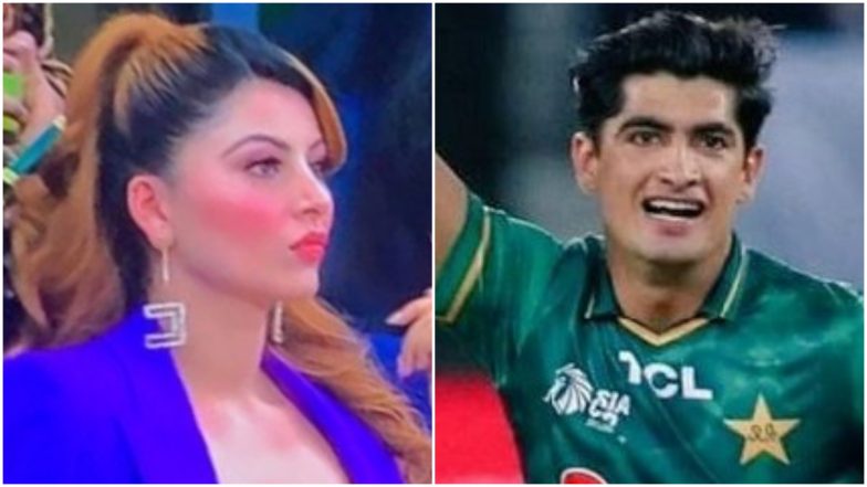 Urvashi Rautela Clarifies Her IG Video of Naseem Shah Amid Relationship Rumours