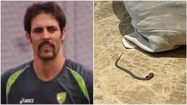 Legends League Cricket 2022: Mitchell Johnson Finds Snake in His Hotel Room in Lucknow, Shares Photos on Instagram