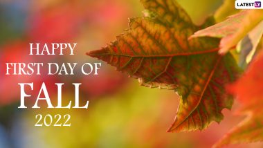 First Day of Fall 2022 Images & HD Wallpapers for Free Download Online: Share Autumnal Equinox Greetings and Fall Season Quotes to Celebrate September Equinox