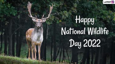 National Wildlife Day 2022 Date & Significance: Know All About the History and Ways To Observe the Day for Preservation and Conservation of Wildlife