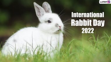 International Rabbit Day 2022: Cute Images and Viral Videos of Adorable Bunnies to Celebrate This Annual Observance