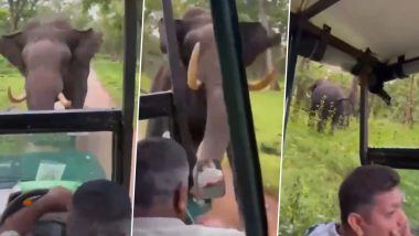 Karnataka: Jungle Safari Tourists Have a Narrow Escape As Giant Tusker Charges at Their Jeep (Watch Video)