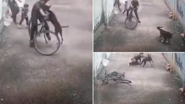 Kerala Dog Attack Video: Stray Dog Attacks, Bites Small Boy Riding Bicycle in Kozhikode