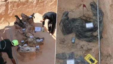 Libya Shocker: 15 Unidentified Bodies Found in Mass Graves 450 km East of Tripoli, Watch Video