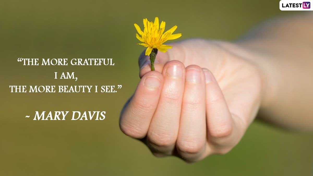 World Gratitude Day 2022 Quotes and Positive Messages To Share With ...