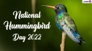 National Hummingbird Day 2022: Viral Videos and Images of the World&rsquo;s Smallest Bird Are Too Cute To Be Missed