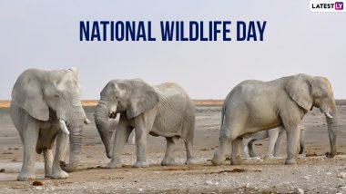 National Wildlife Day 2022 Images and HD Wallpapers: Send Facebook Messages, WhatsApp Status & Animal Conservation Quotes on This Annual Observance