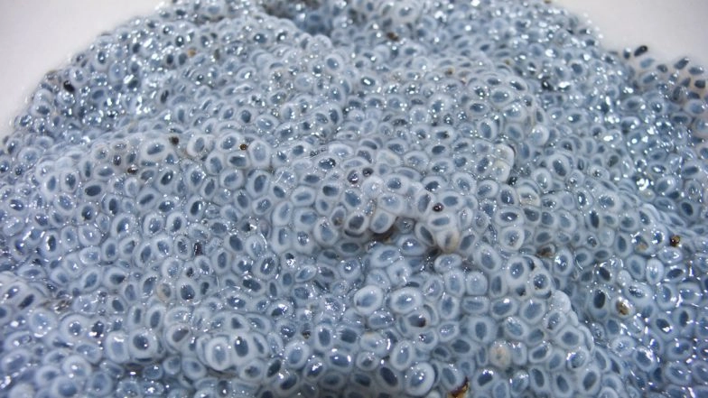 Sixth Day of Navratri 2022 Bhog for Katyayani Puja: From Sabja Drink to Chia Pudding, These Grey Food Items Are Must Try On Fasting Day (Watch Recipe Videos)