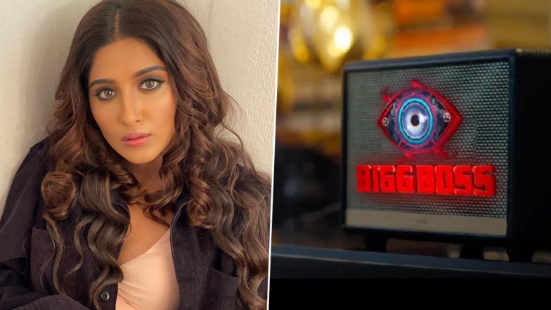 Bigg Boss 16: Is That Choti Sardarni's Nimrit Kaur Ahluwalia in New Promo of Salman Khan's Reality Show? (Watch Video)