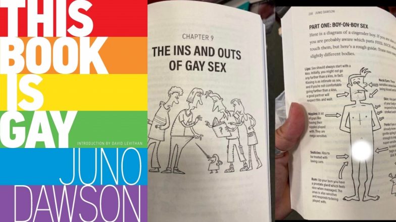 Boy-on-Boy Sex, Girl-on-Girl Sex, Anal and Oral Sex, How To Use Hookup Apps – Florida School Library Keeps ‘This Book Is Gay’ Containing Explicit Content for Students