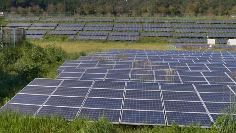 Haryana Government To Provide 75% Subsidy to Dharamshalas of SCs, Backward Classes on Installation of Solar Power Plants
