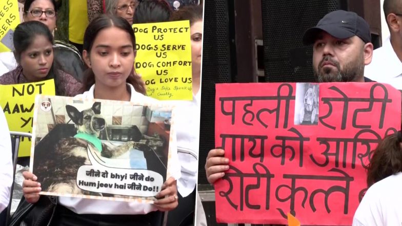 Stray Dog Attacks: Animal Rights Activists Protest at Jantar Mantar Against Culling of Street Dogs in Kerala (See Pics)