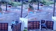Video: Narrow Escape For Students After Stray Dogs Chase Them in Kerala&rsquo;s Kannur