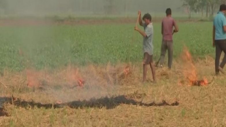 Punjab Records Highest Stubble-Burning Cases This Season, 3,916 Incidents Reported Today