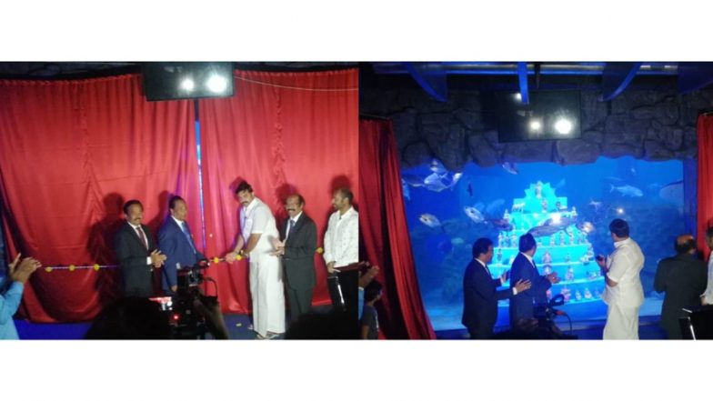 TN Tourism Minister Unveiled First-Ever Underwater Navarathri Bommai Golu Display