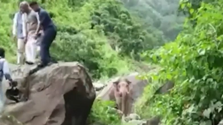 Former Uttarakhand CM Trivendra Singh Rawat Climbs Rock to Save Himself After Elephant Appears Before His Convoy, Video Goes Viral