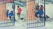 Video: Dog Tries To Bite Small Boy After Two Youngsters Make Pet Chase Him in UP’s Ghaziabad