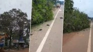 Video: Bird Chicks Killed in Kerala&rsquo;s Malappuram After Tree Housing Their Nests Chopped for Roadworks