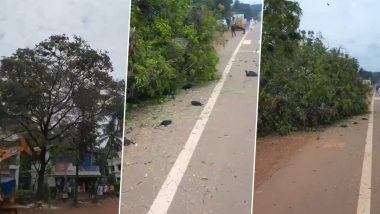 Video: Bird Chicks Killed in Kerala’s Malappuram After Tree Housing Their Nests Chopped for Roadworks