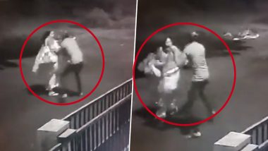 Video: Man Robs Elderly Woman's Purse in Nashik, Incident Caught on CCTV Camera